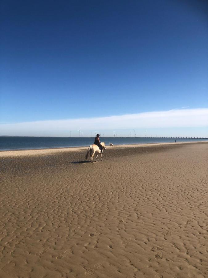 Dorpsdijk 49, Vrouwenpolder Vakantie Exteriör bild